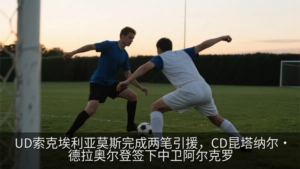 足球后卫在比赛中防守对手